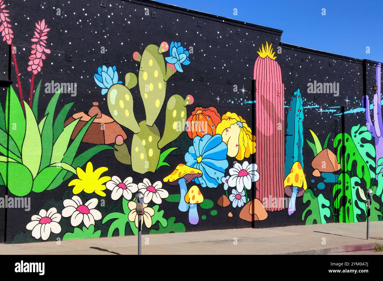 Sukkulent Plants Fototapete in Los Angeles, Kalifornien Stockfoto