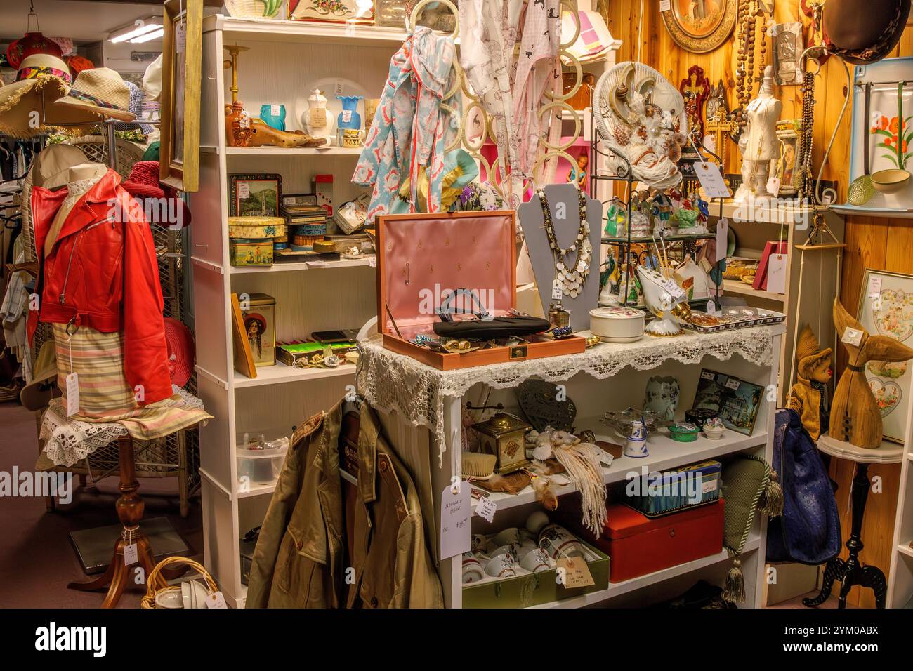 Vintage-Artikel in einem Secondhand-Laden in Cayucos, Kalifornien Stockfoto