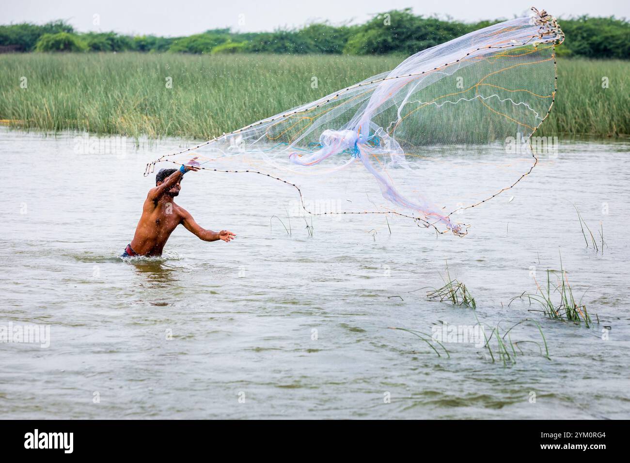 Wurfnetzfischer, Gujarat, Indien Stockfoto