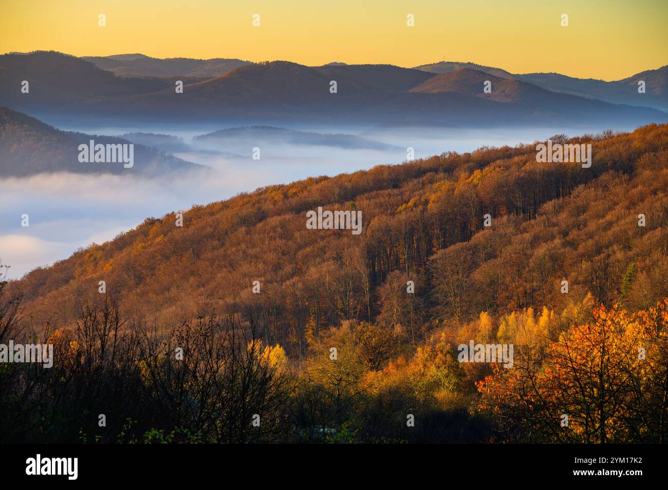 Dunny Autumn Dawn, ein Hauch von leuchtenden Roten und Orangen auf dem Land Stockfoto