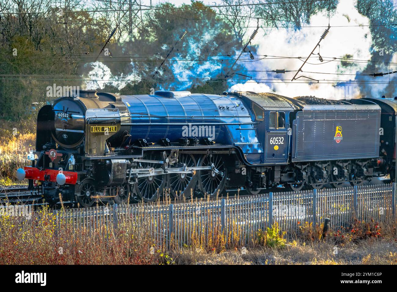 LNER Peppercorn Klasse A2 Nr. 60532 Blue Peter eine 4-6-2-Dampflokomotive, die in Winwick auf der Postlinie der Westküste gesehen wurde Stockfoto