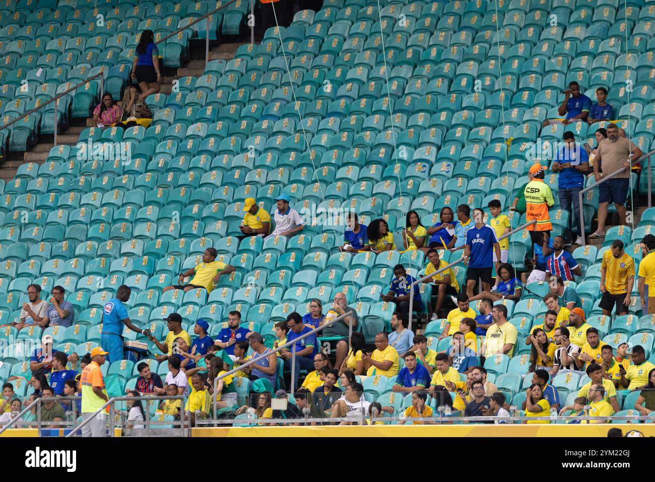 SALVADOR, BA, 19.11.2024 - BRASIL-URUGUAI: Partida entre Brasil e Uruguai, válida pela Eliminatorias da Copa do Mundo de 2026, realizada na Arena Fonte Nova, na cidade de Salvador, na noite desta terca-feira. Quelle: Px Images/Alamy Live News Stockfoto