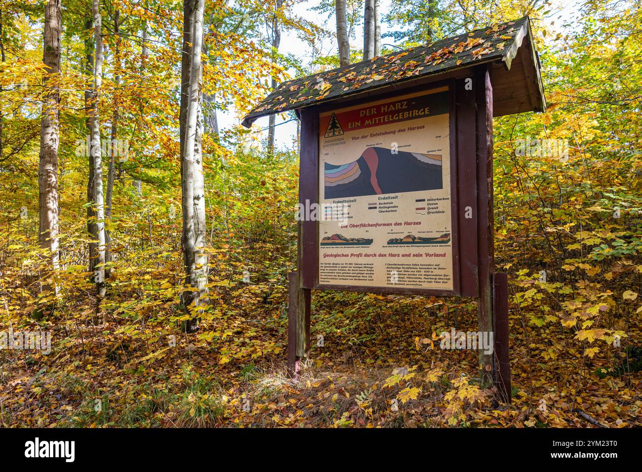 Naturlehrpfad Güntersberge im Selketal Harz Stockfoto