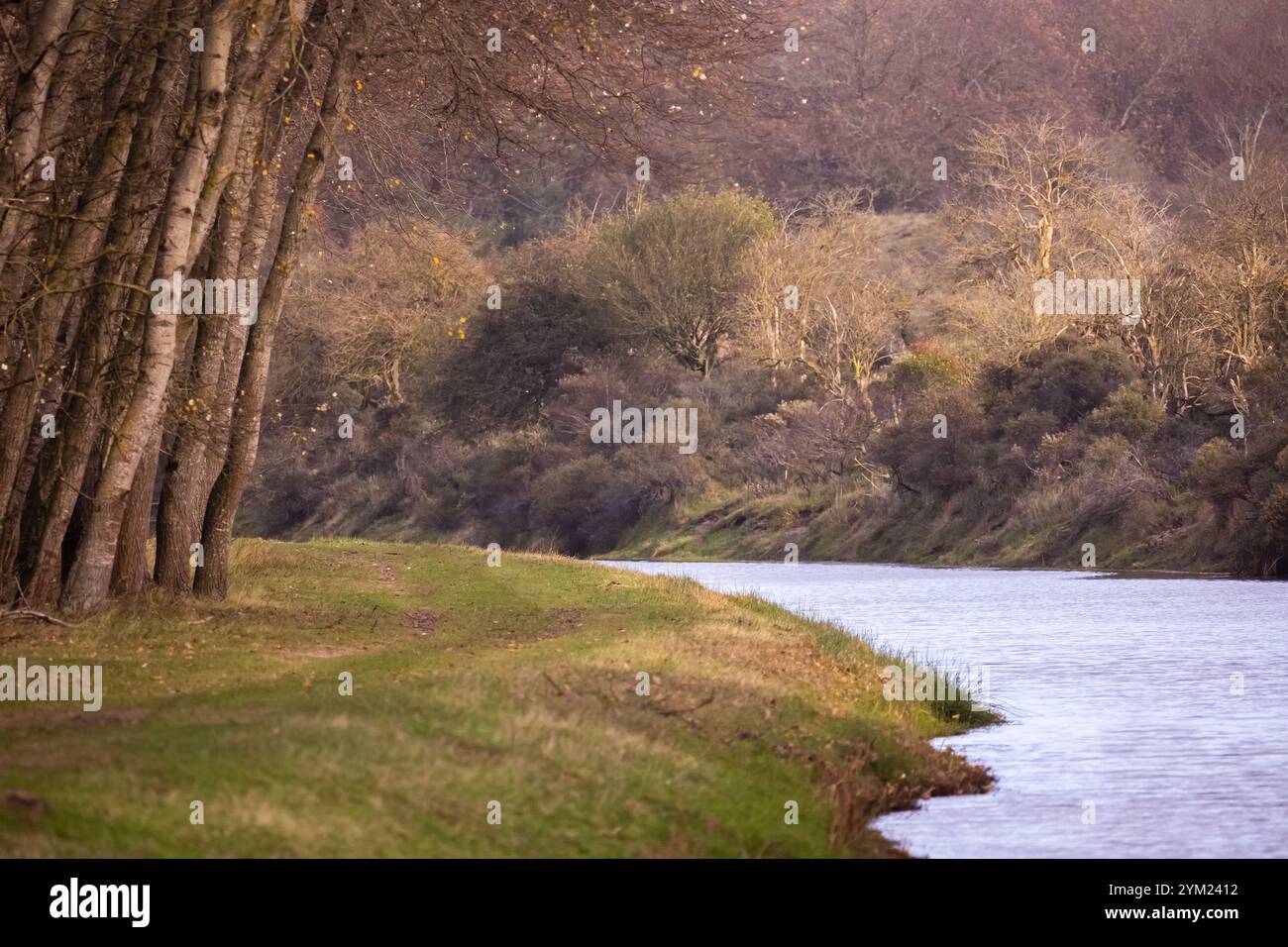 Ein Küstenweg, umgeben von Herbstbäumen und einer ruhigen, ruhigen Landschaft mit sanftem natürlichem Licht, die ein friedliches Ambiente im Freien schafft. Stockfoto