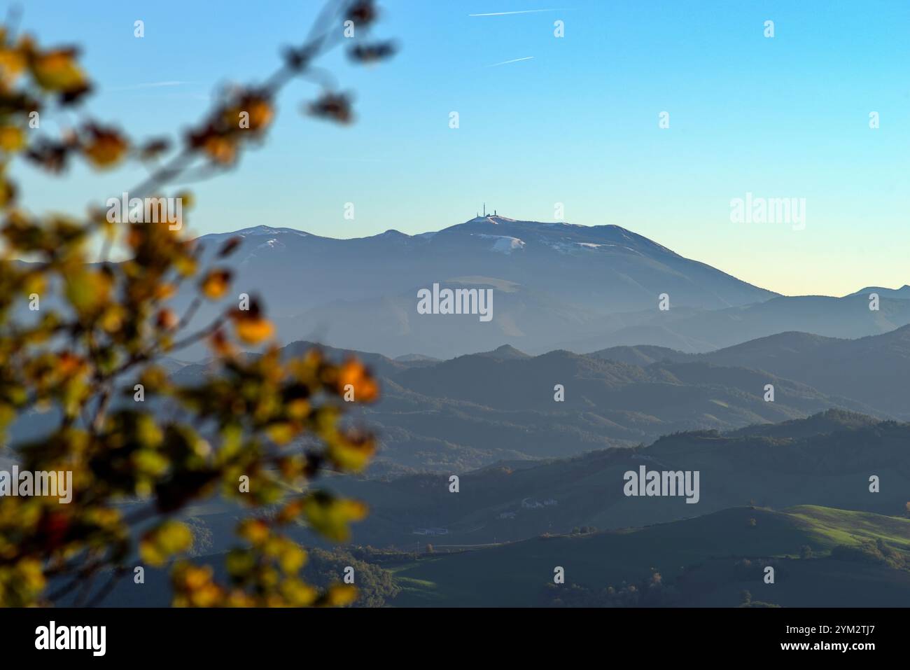 Primo Piano Sfuocato di rami e foglie contro un Panorama di colline con monte Nerone sullo sfondo Stockfoto