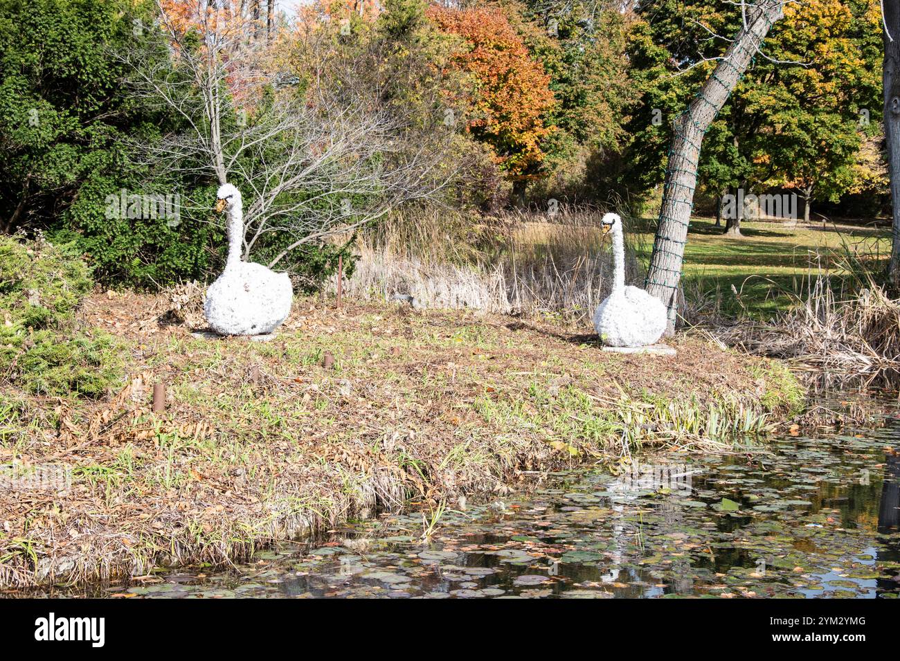 Stumme Schwanenskulpturen auf dem Niagara River Parkway in Niagara Falls, Ontario, Kanada Stockfoto