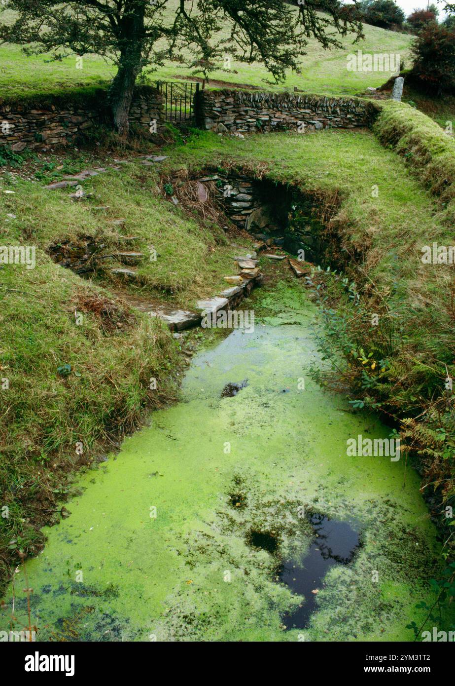 Sehen Sie sich NNE von St. Non's Well & Bowssening Pool für Wahnheilmittel an, Altarnun, Cornwall, England: Hektische Patienten wurden gewalttätig eingetaucht Stockfoto