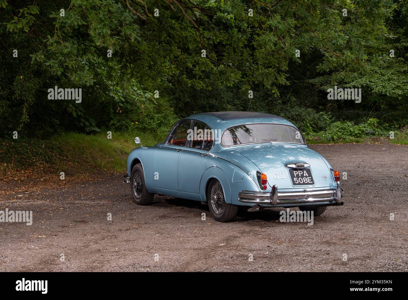 1967 Daimler 340 V8 britischer Oldtimer Stockfoto