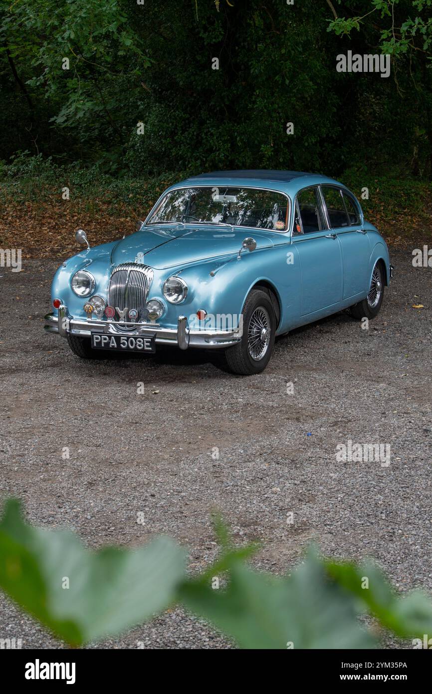 1967 Daimler 340 V8 britischer Oldtimer Stockfoto