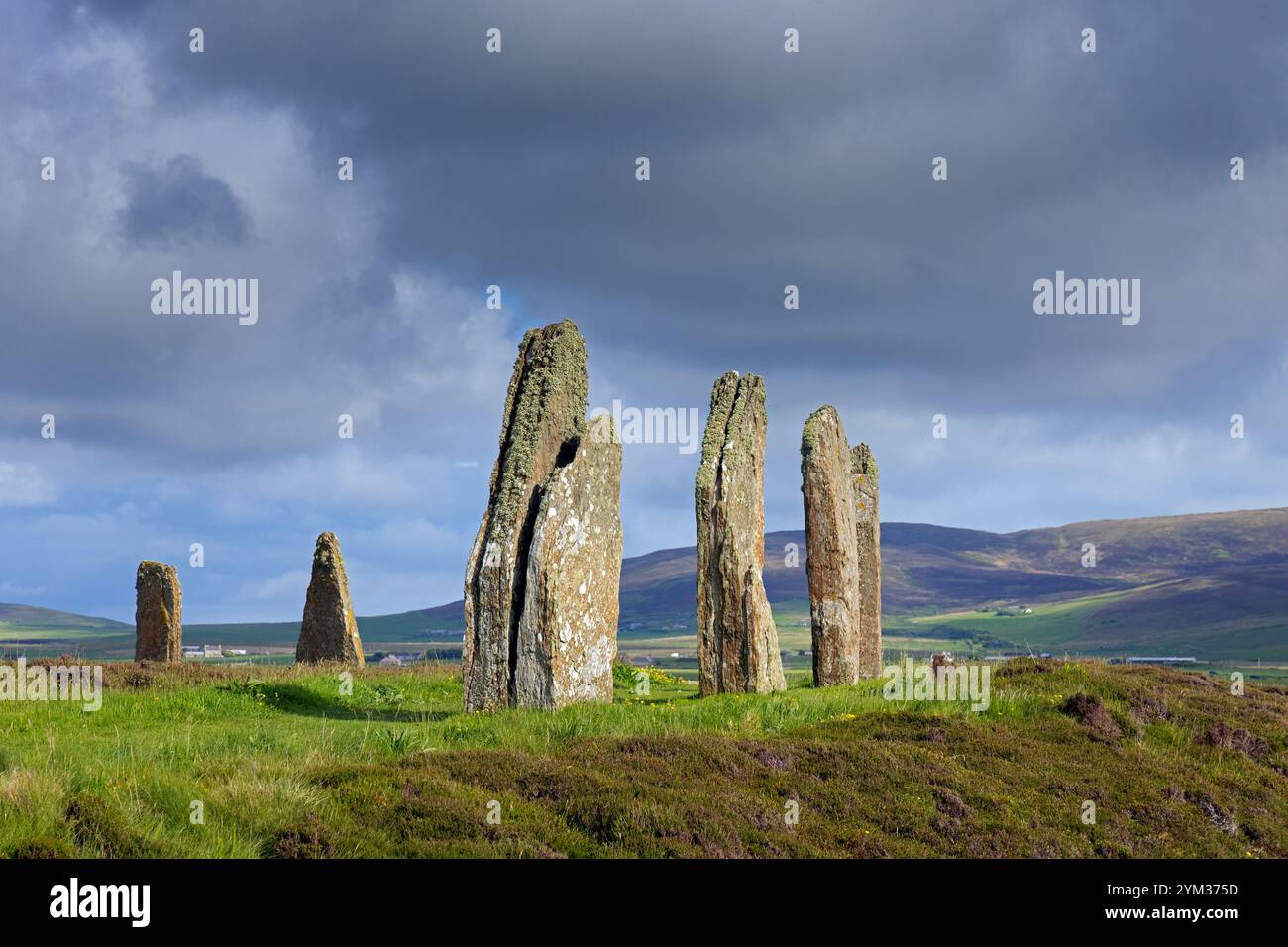 Ring of Brodgar / Brogar, neolithische Henge und Steinkreis aus stehenden Steinen in der Nähe von Stromness auf dem Festland, der größten Insel in Orkney, Schottland, Großbritannien Stockfoto