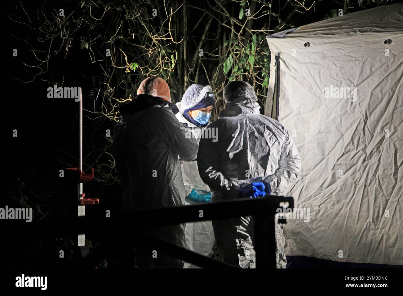 Die Polizei arbeitet am Tatort an der Ravenscraig Road in der Nähe von Ashtons Field, Salford, im Großraum Manchester, wo die Überreste eines Babys auf einem Feld gefunden wurden. Die Polizei wurde gegen 13 Uhr am Mittwoch gerufen, nachdem ein Mitglied der Öffentlichkeit die Leiche entdeckt hatte. Bilddatum: Mittwoch, 20. November 2024. Stockfoto