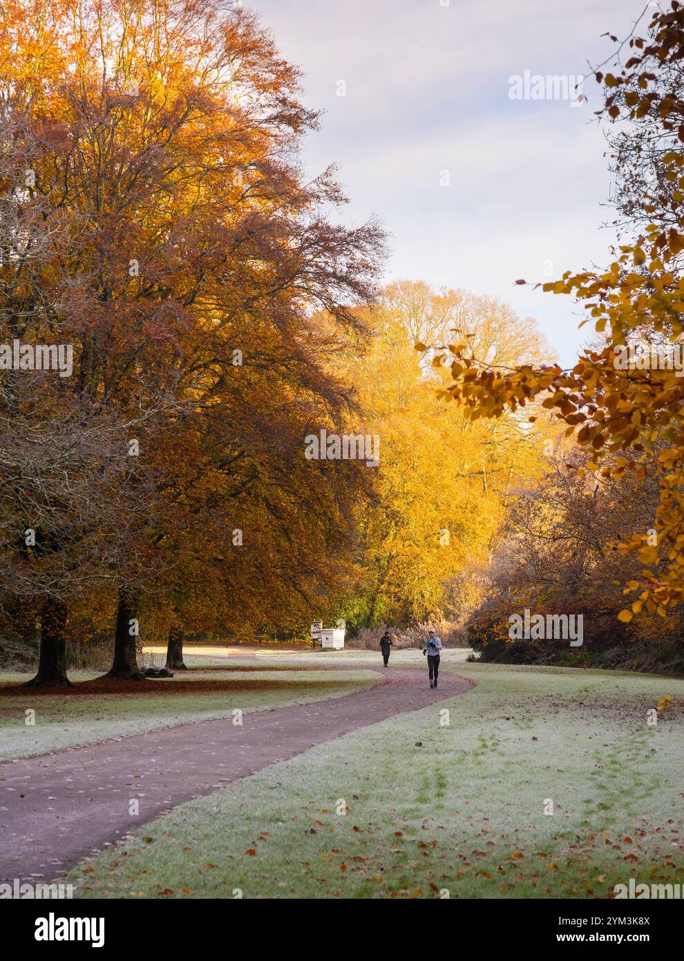 Southampton Common im Herbst Stockfoto