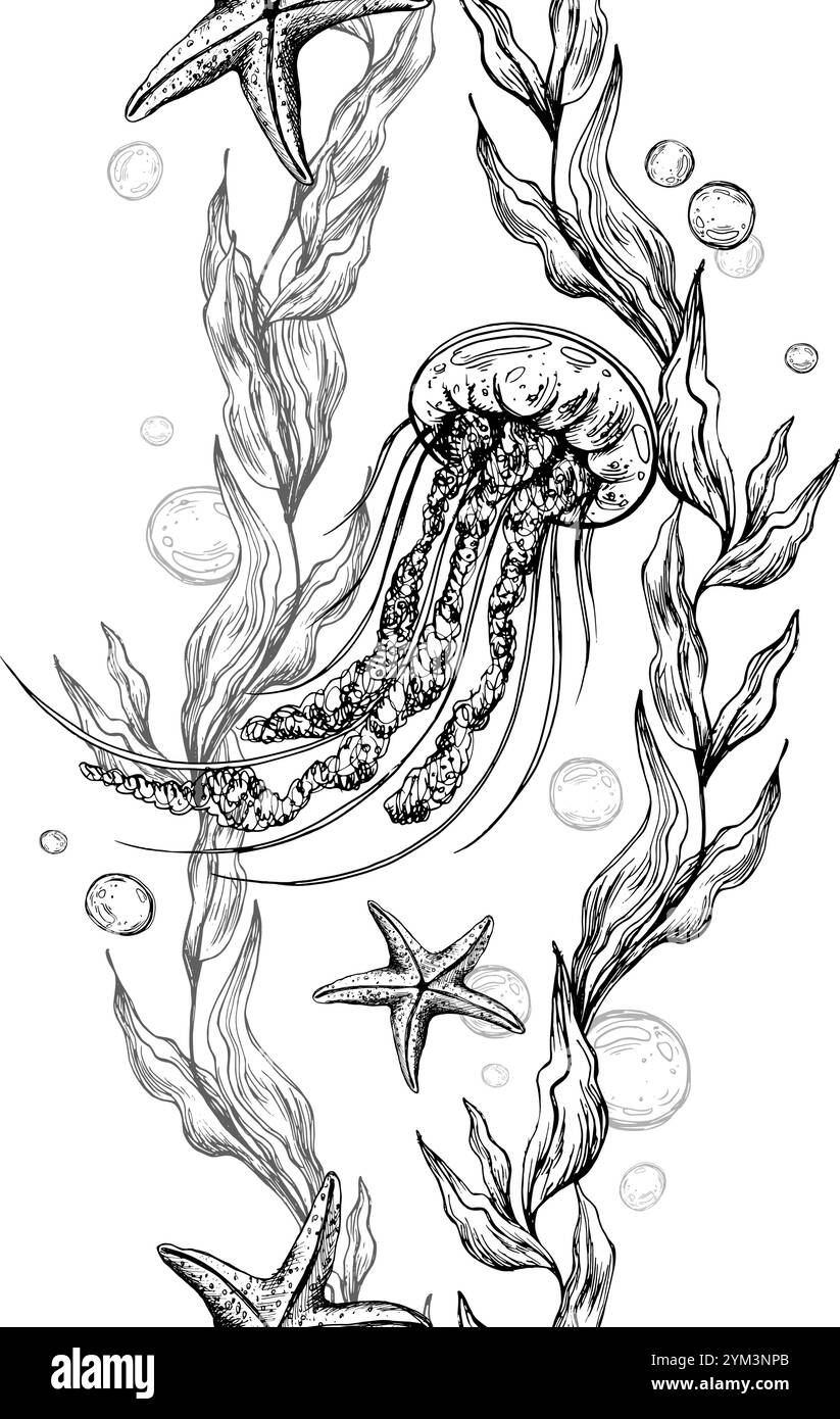 Quallen, Seeblaue Algen mit Blättern, die sich in Wellen mit Blasen winden, und Korallenstern. Grafische Illustration, handgezeichnet in schwarzer Tinte, Unterwasserwelt Stock Vektor