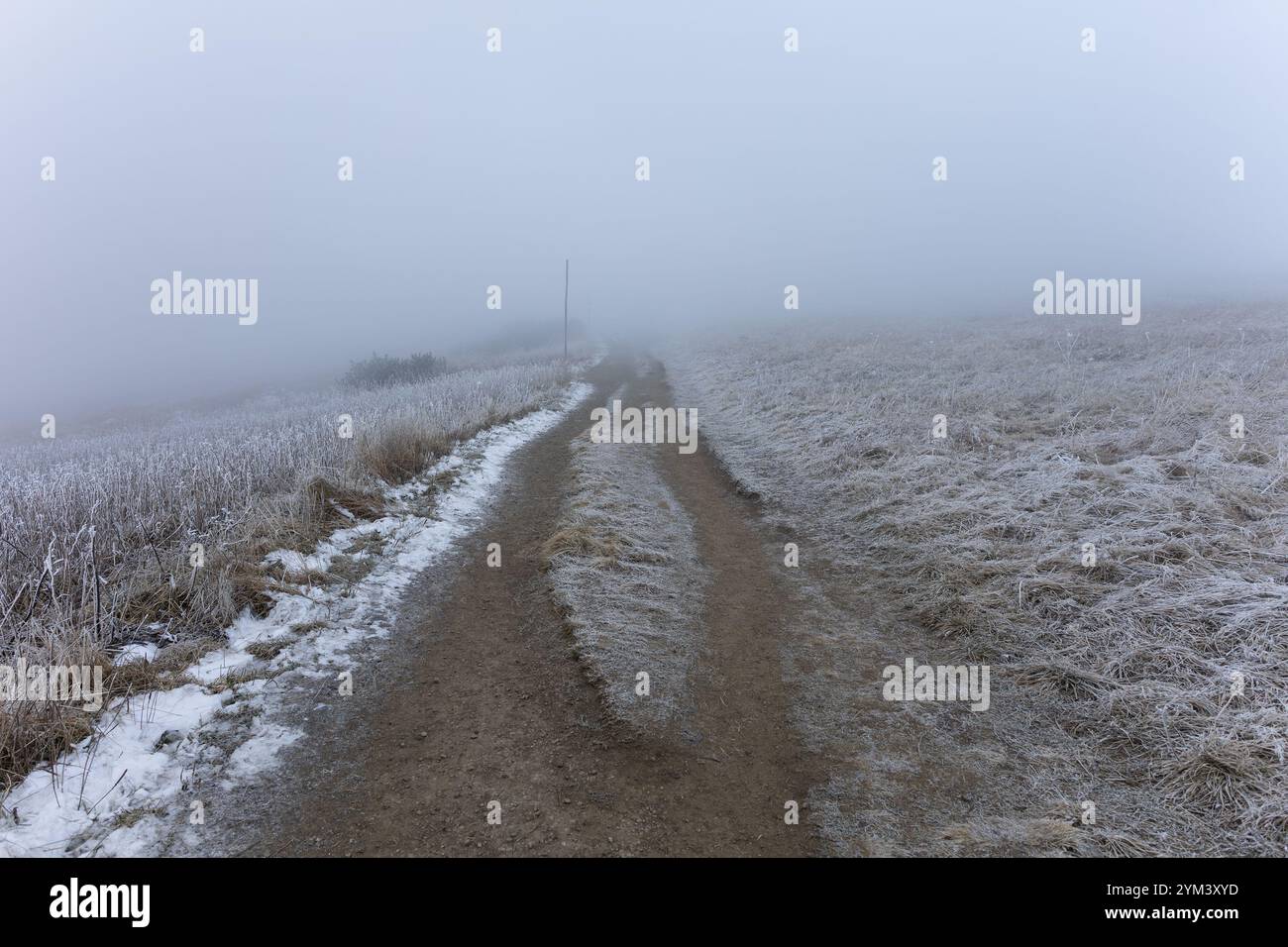 Nebel Touristenpfad, Fußweg und Pfad bei Nebel und schlechter Sicht. Trübes, dunkles und düsteres Wetter und Wandern in den Bergen. Stockfoto