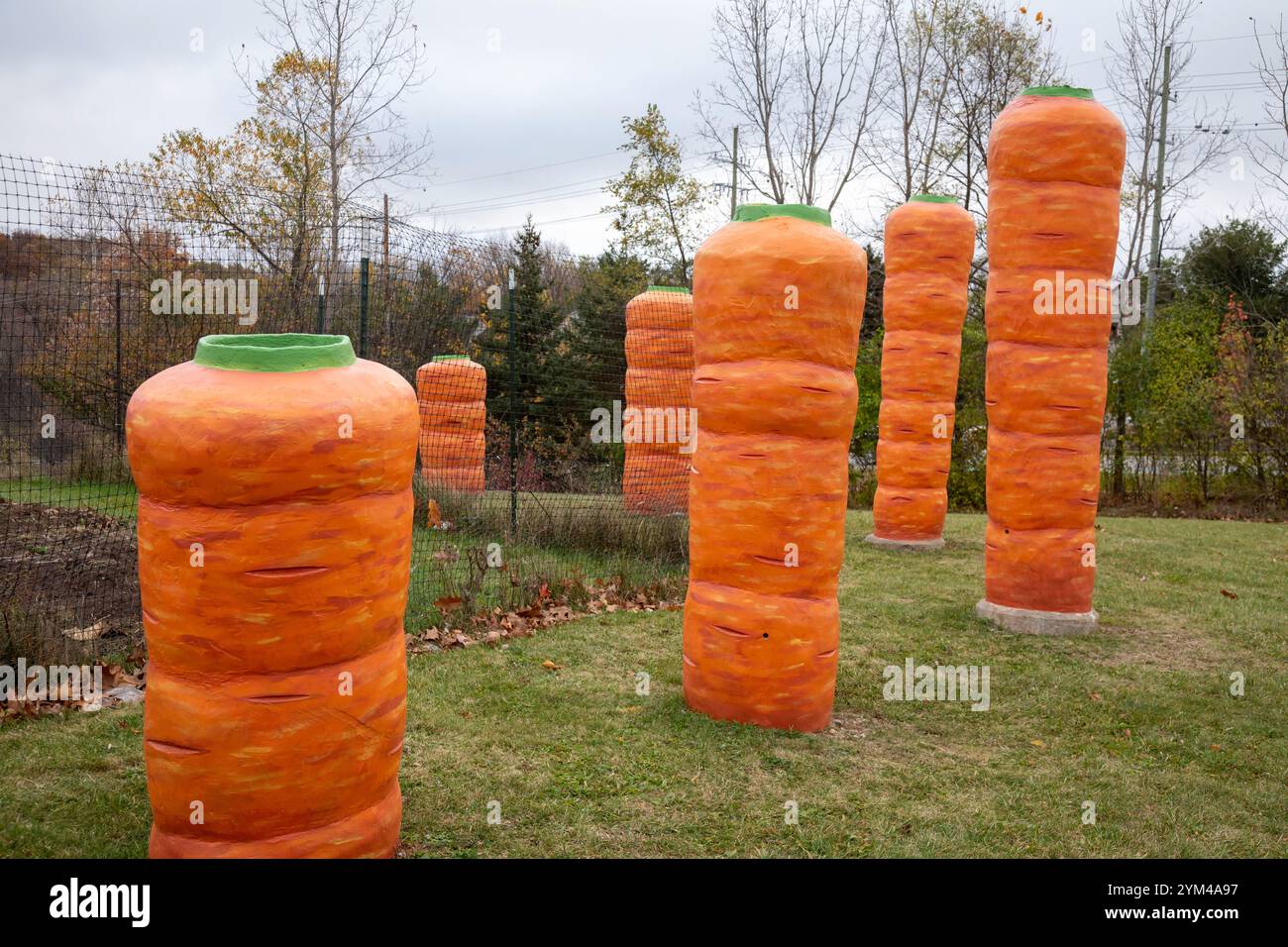 Ann Arbor, Michigan – große BetonKarotten werden vor dem Hauptquartier von Food Gatherers im Washtenaw County gepflanzt., einer Lebensmittelbank und Lebensmittelrettungsanlage Stockfoto