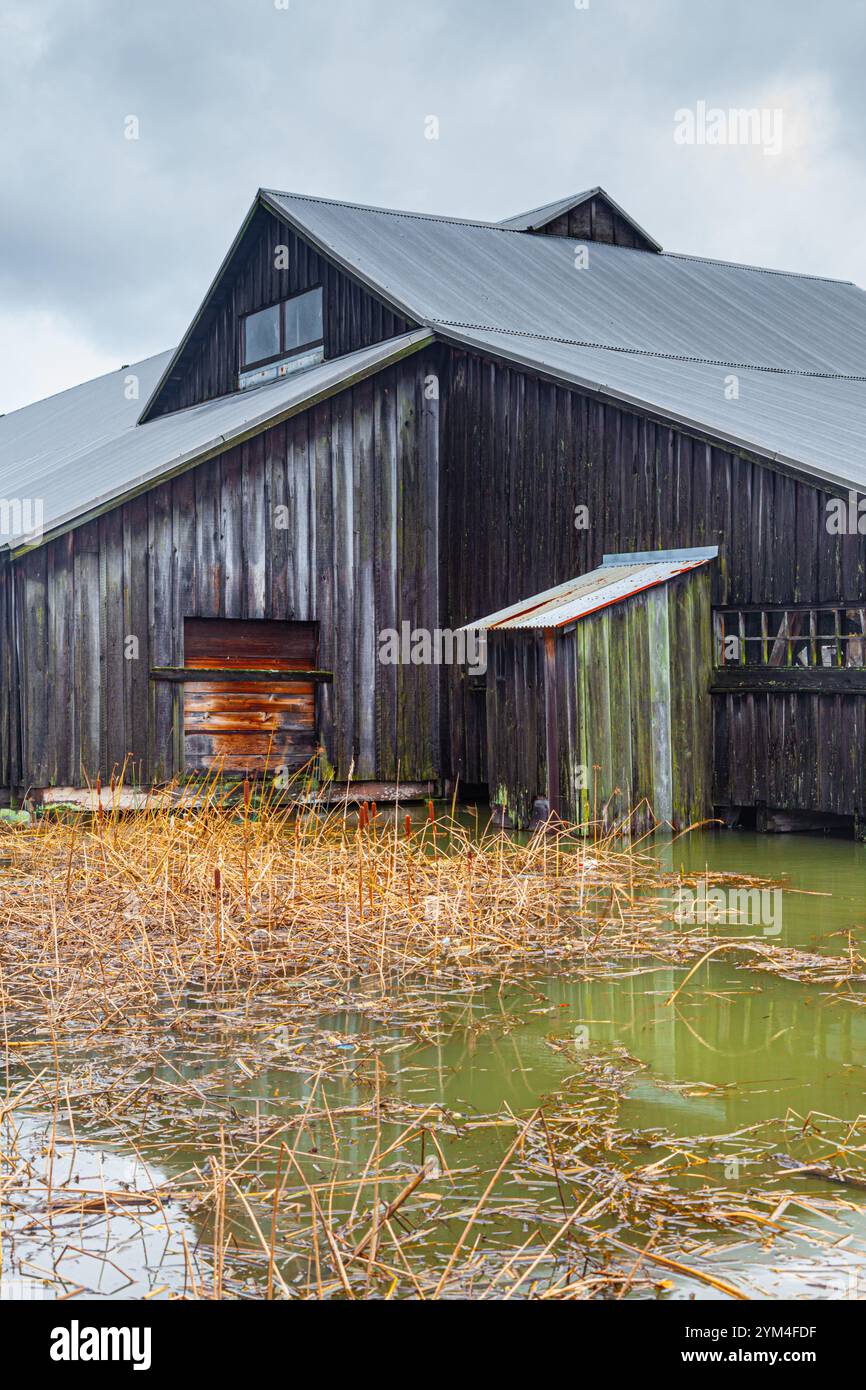 Sturmflut auf der Britannia Shipyard in Steveston British Columbia Kanada Stockfoto