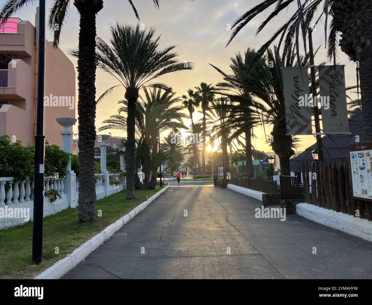 Palmen bei Sonnenaufgang an der Playa de las Américas Küste. Playa de las Américas, Arona, Teneriffa, Kanarische Inseln, Spanien. Februar 2023. - Smartphone-aufgenommenes Stockfoto