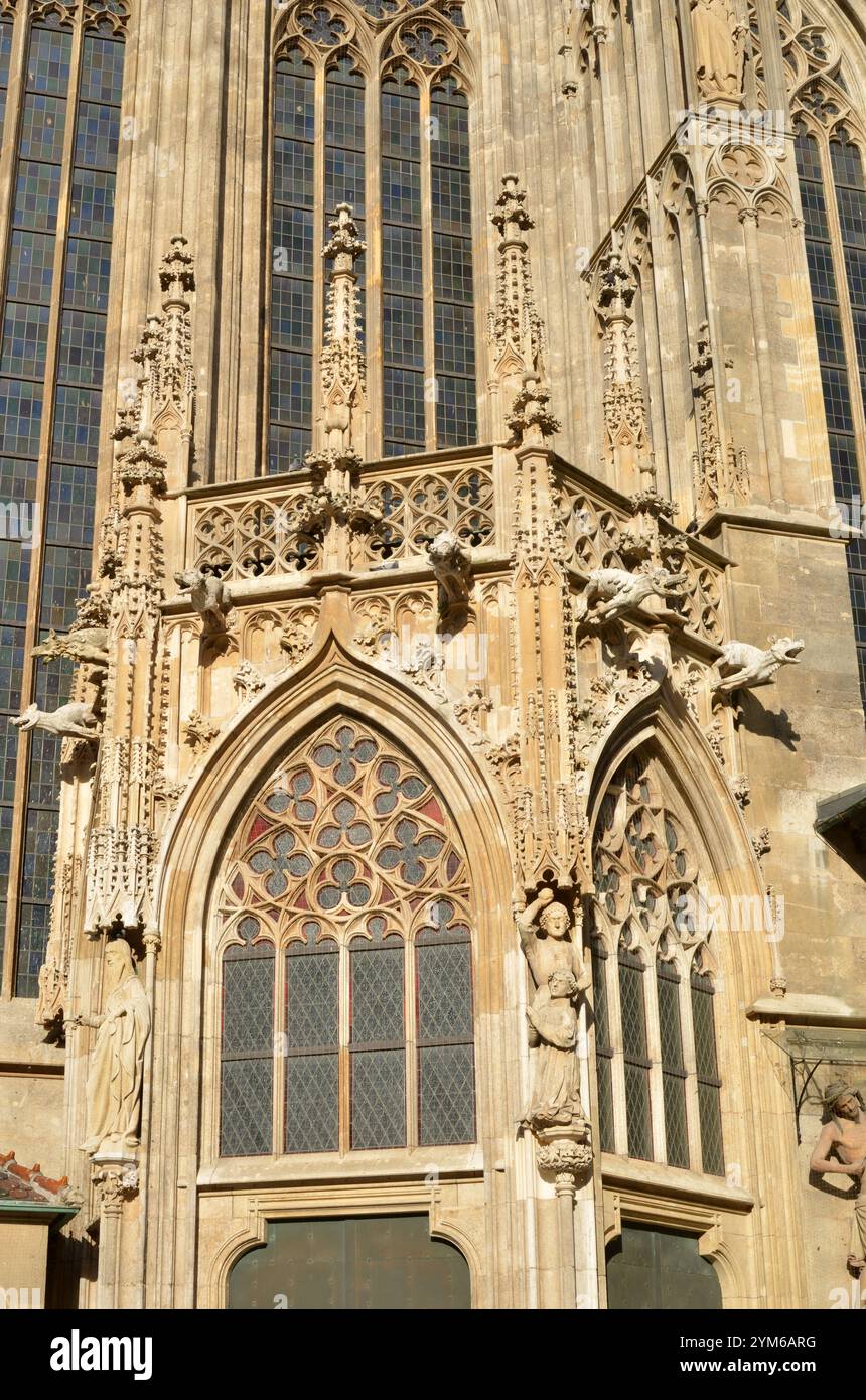 St. Stephan Dom in Wien, Österreich, Detail der Fassade Stockfoto