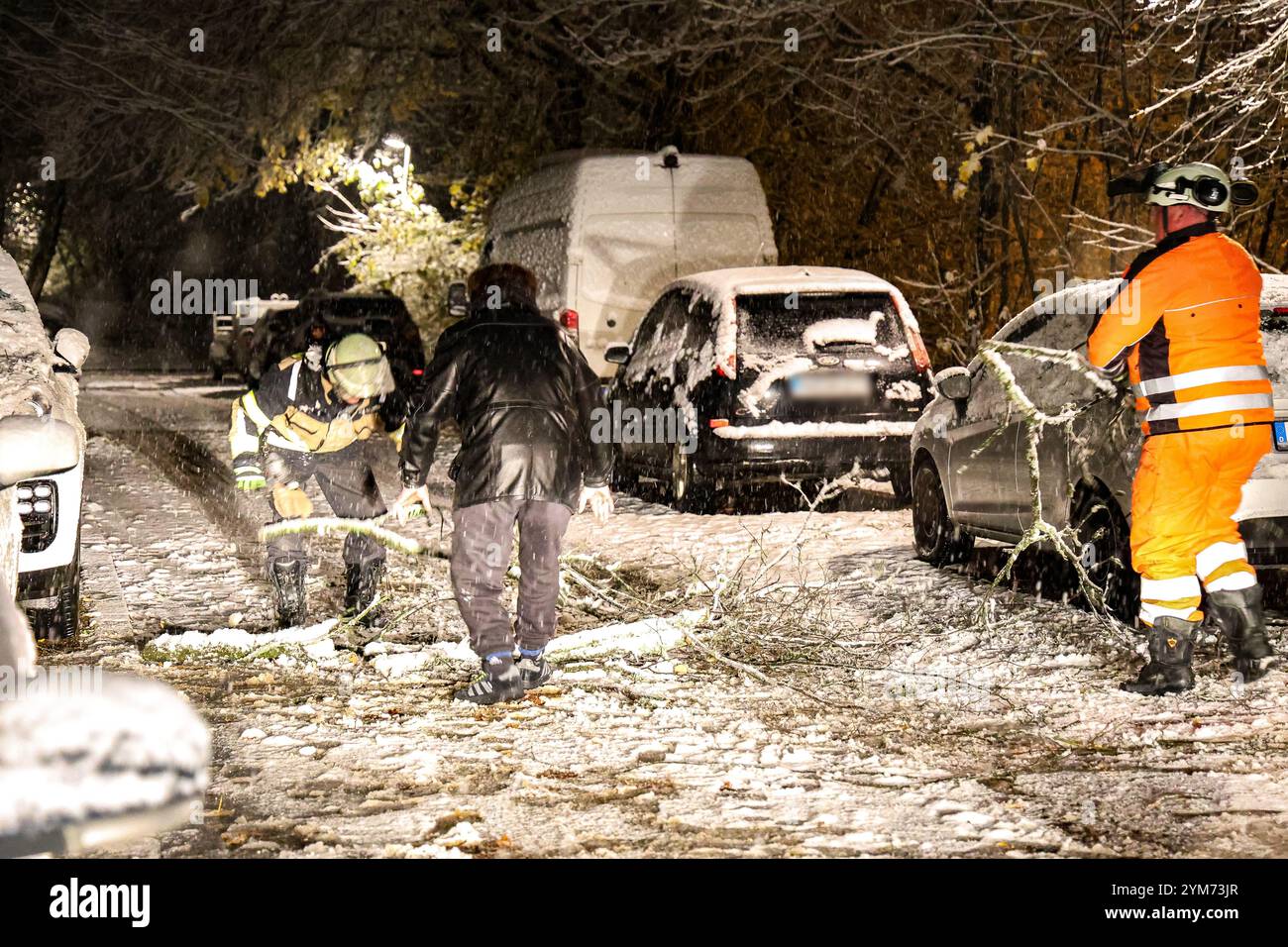 Solingen, Deutschland. November 2024. Feuerwehrleute der Solinger Berufsfeuerwehr und ein Anwohner, der während eines Einsatzes den Schnee sägt. Die Feuerwehr musste einen umgestürzten Baum Fällen. Quelle: Gianni Gattus/dpa/Alamy Live News Stockfoto