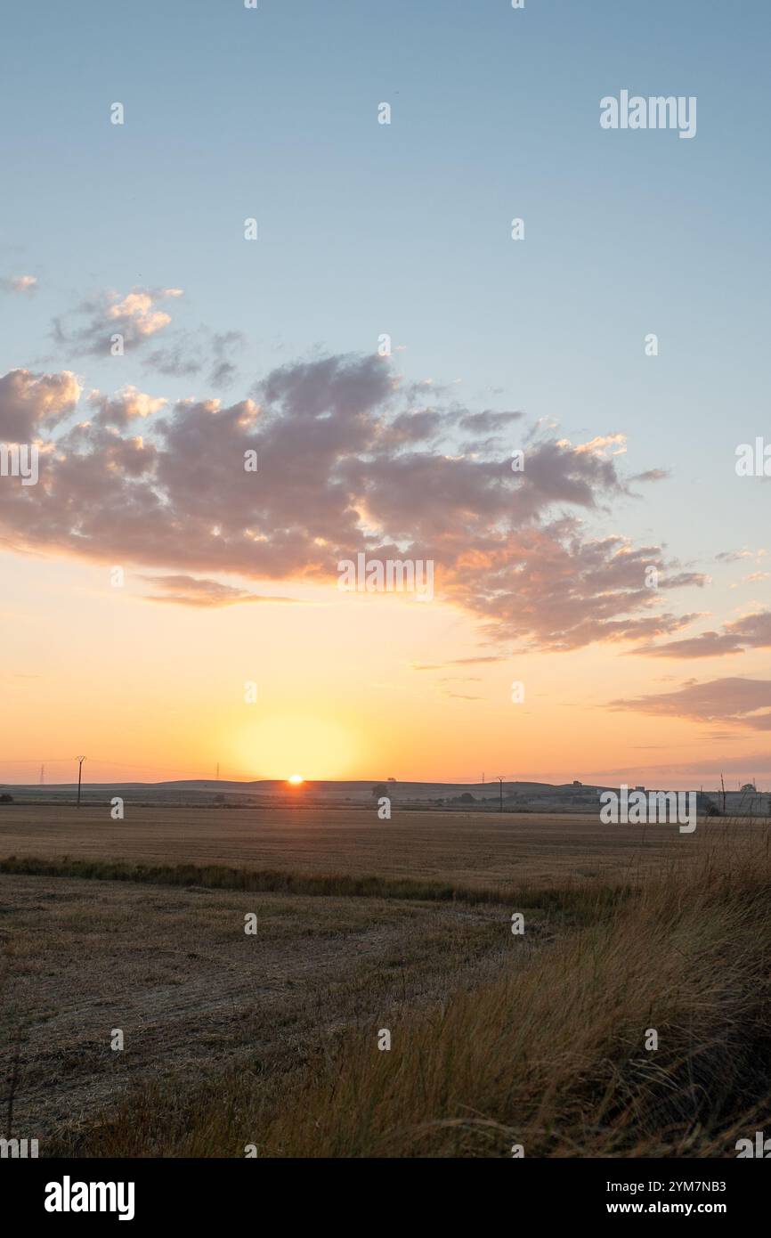 Sonnenschein auf der Bühne von Fromista bis Carrion de los Condes auf dem Jakobsweg im Jahr 2024. Stockfoto