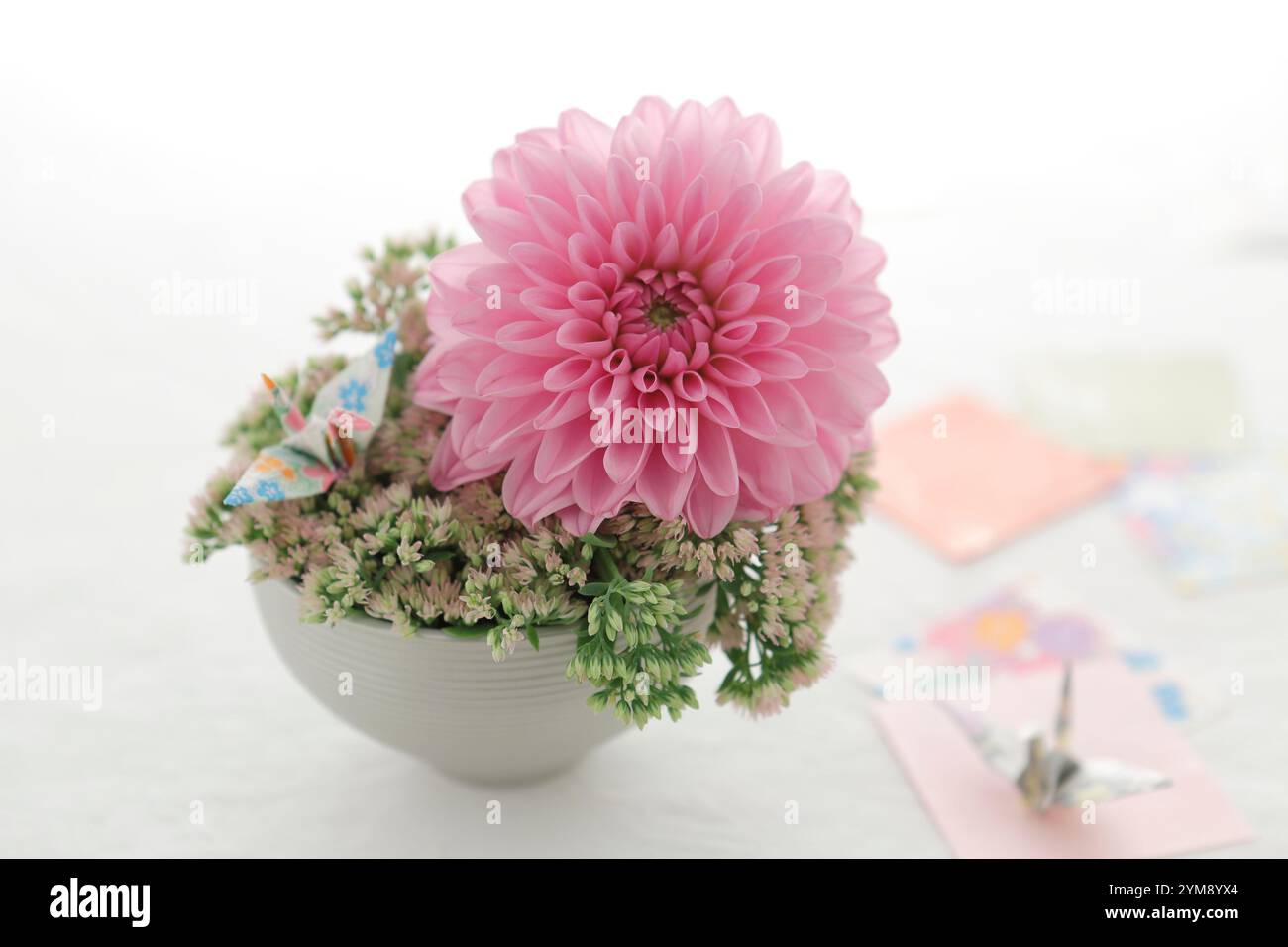 Neujahrsblumen Stockfoto