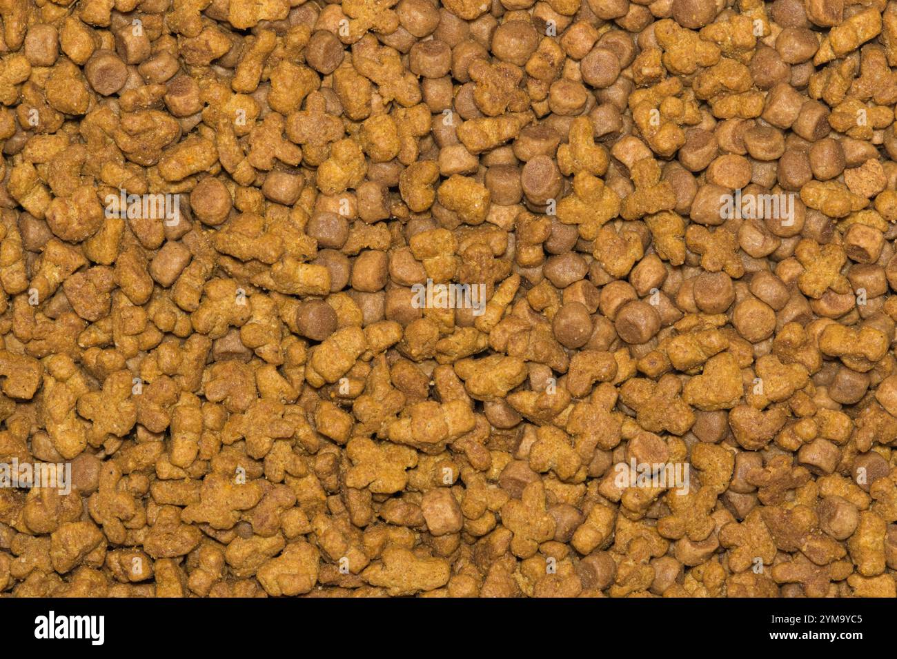 Trockenfutter für Katzen für Haustiere gemischte Gesundheit Ernährung Haustiere. Stockfoto