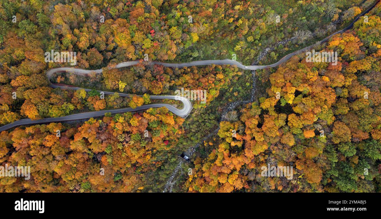 Aus der Vogelperspektive einer Straße, die den Wald während der Herbstsaison durchquert Stockfoto