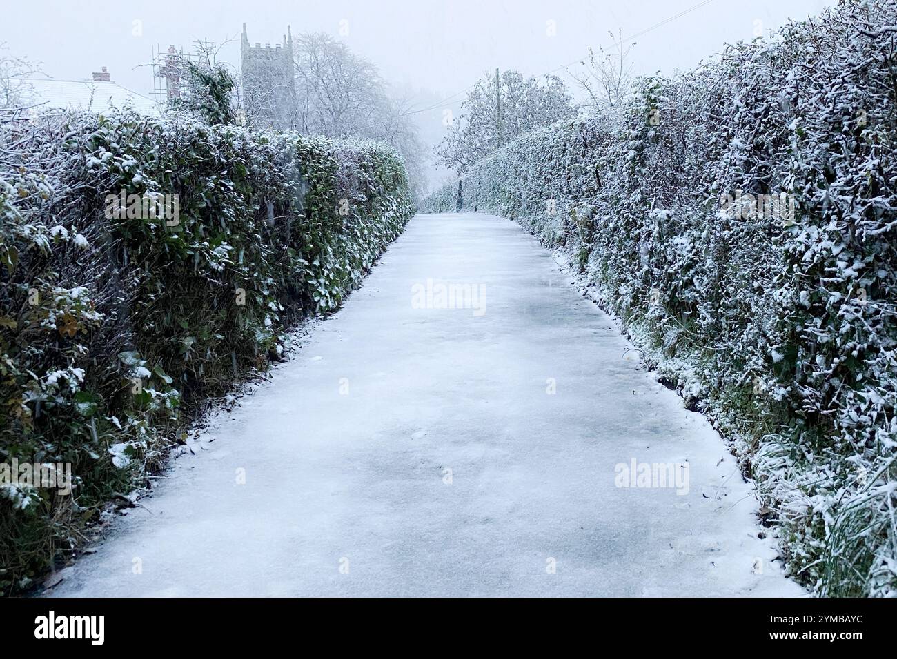 Doddiscombsleigh, Devon, Großbritannien. November 2024. Schnee in Doddiscombsleigh im Teign Valley am Rande von Dartmoor, Devon. Hinweis: Nidpor/Alamy Live News Stockfoto