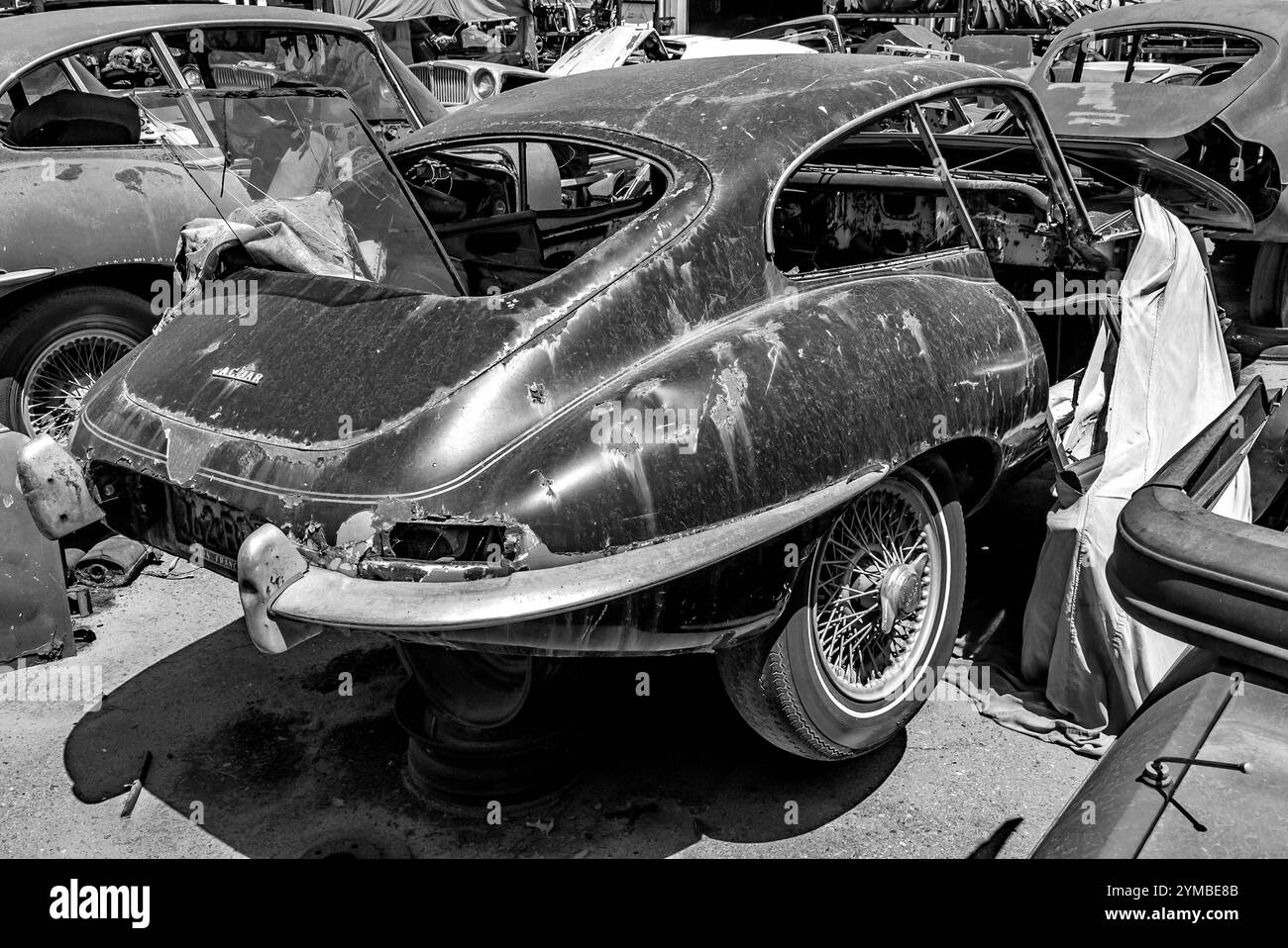 Verschrotten Sie den Jaguar E Type in einem Junk-Werft in kalifornien, USA Stockfoto