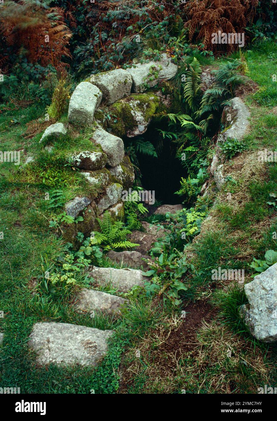 Sehen Sie SW die Stufen von St Euny Holy Well, Chapel Euny, Sancreed, Cornwall, England, Großbritannien, einst das Baptisterium für die zerstörte mittelalterliche Kapelle. Stockfoto