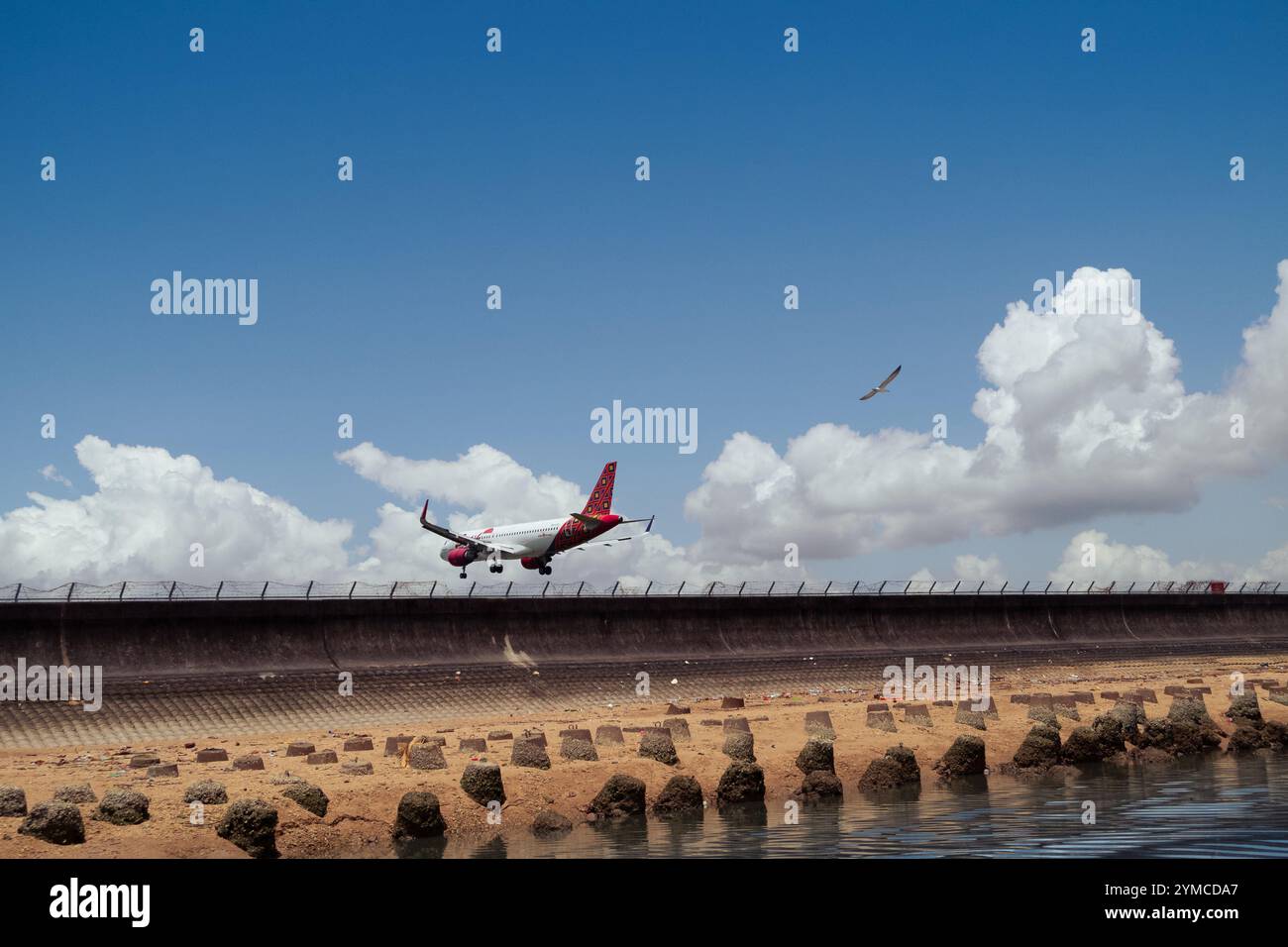 Batik Air Verkehrsflugzeuge, die kurz vor der Landung auf dem Flughafen Balikpapan stehen und von Seagolls begrüßt werden, 17. Oktober 2024, East Kalimantan, Indonesien Stockfoto