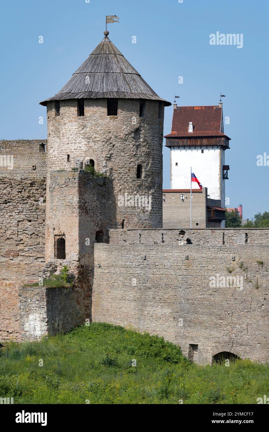 Torturm der Festung Ivangorod und langer Herman-Turm der Burg Narva an einem sonnigen Julitag. Grenze zwischen Russland und Estland Stockfoto