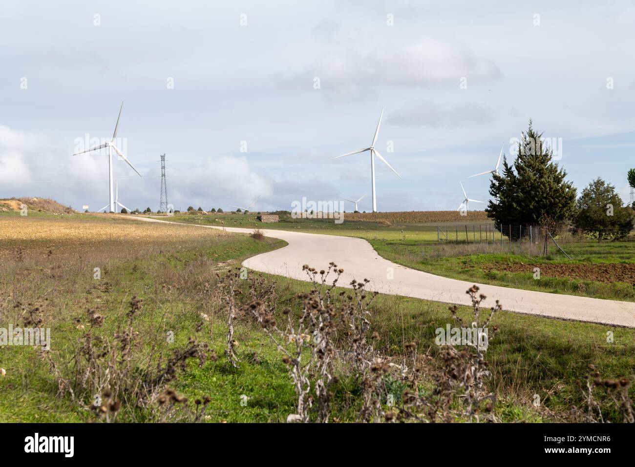 Windpark Marachón, Provinz Guadalajara Stockfoto