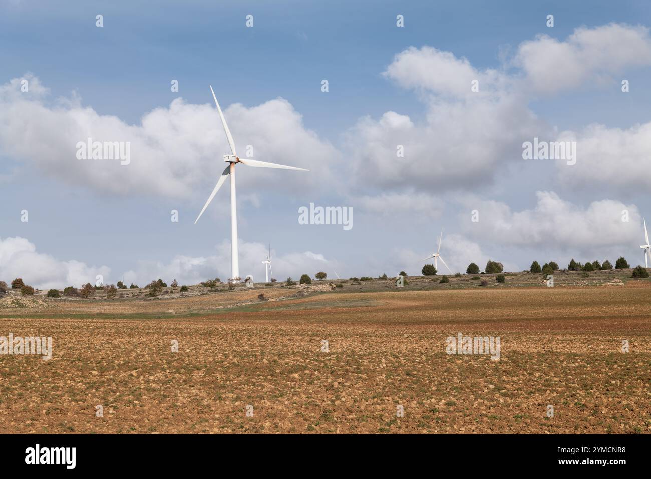 Windpark Marachón, Provinz Guadalajara Stockfoto