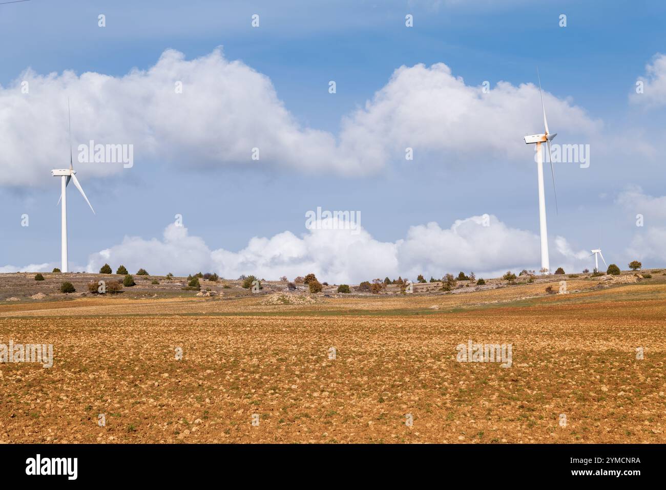 Windpark Marachón, Provinz Guadalajara Stockfoto