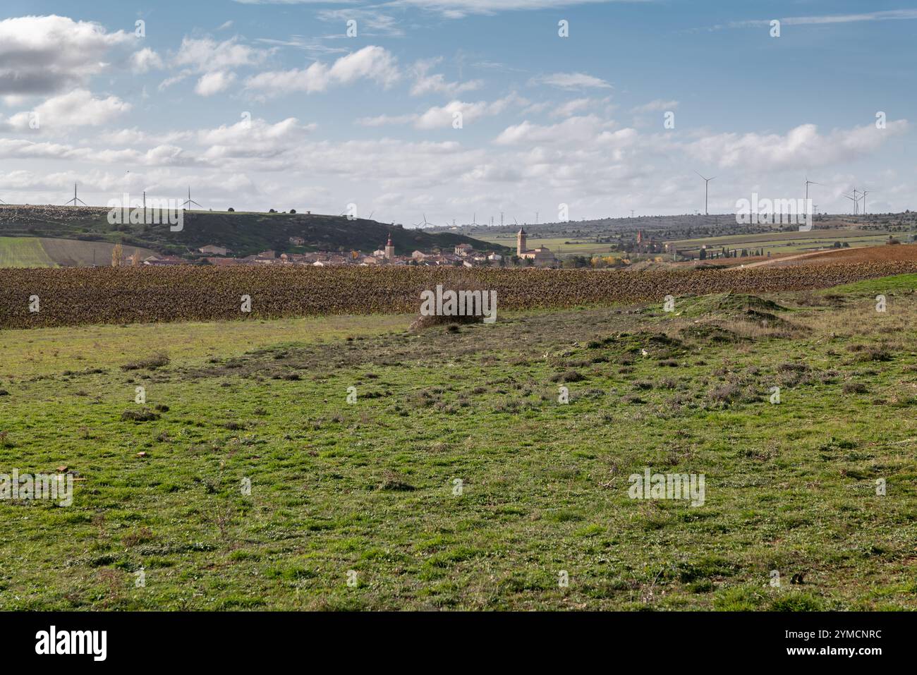 Windpark Marachón, Provinz Guadalajara Stockfoto