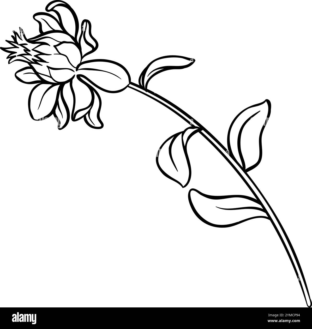 Saflorpflanze mit Blumenklima Illustration. Stock Vektor