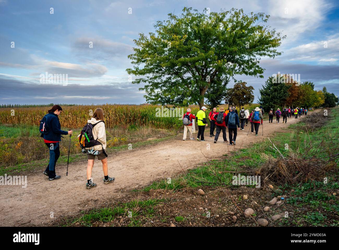 Pilger auf dem Jakobsweg, Mansilla de las Mulas, Autonome Gemeinschaft von Kastilien und Leon, Spanien Stockfoto