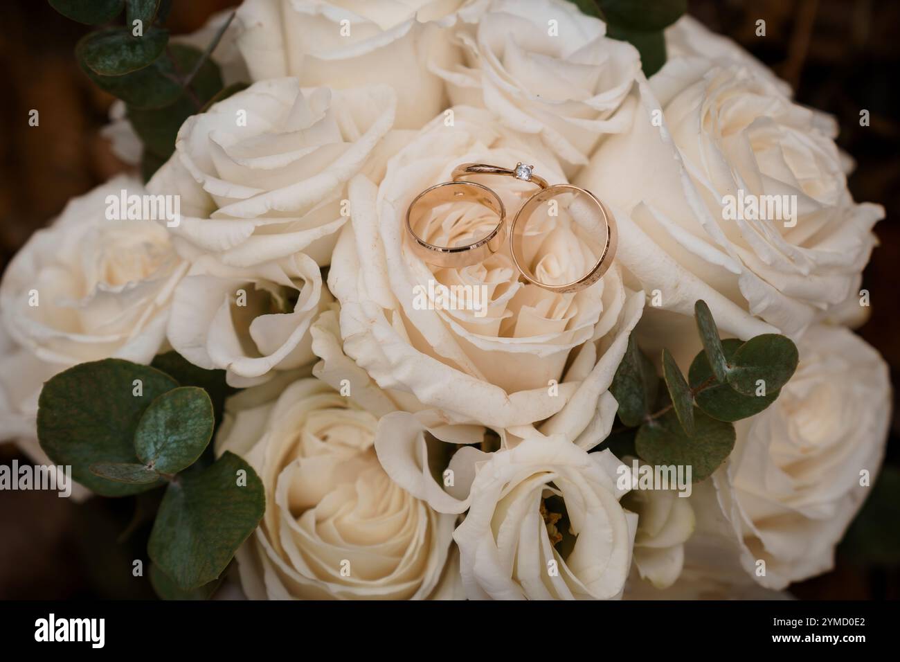 Elegante Hochzeitsringe, eingebettet in einen Blumenstrauß aus Creme Rosen. Stockfoto