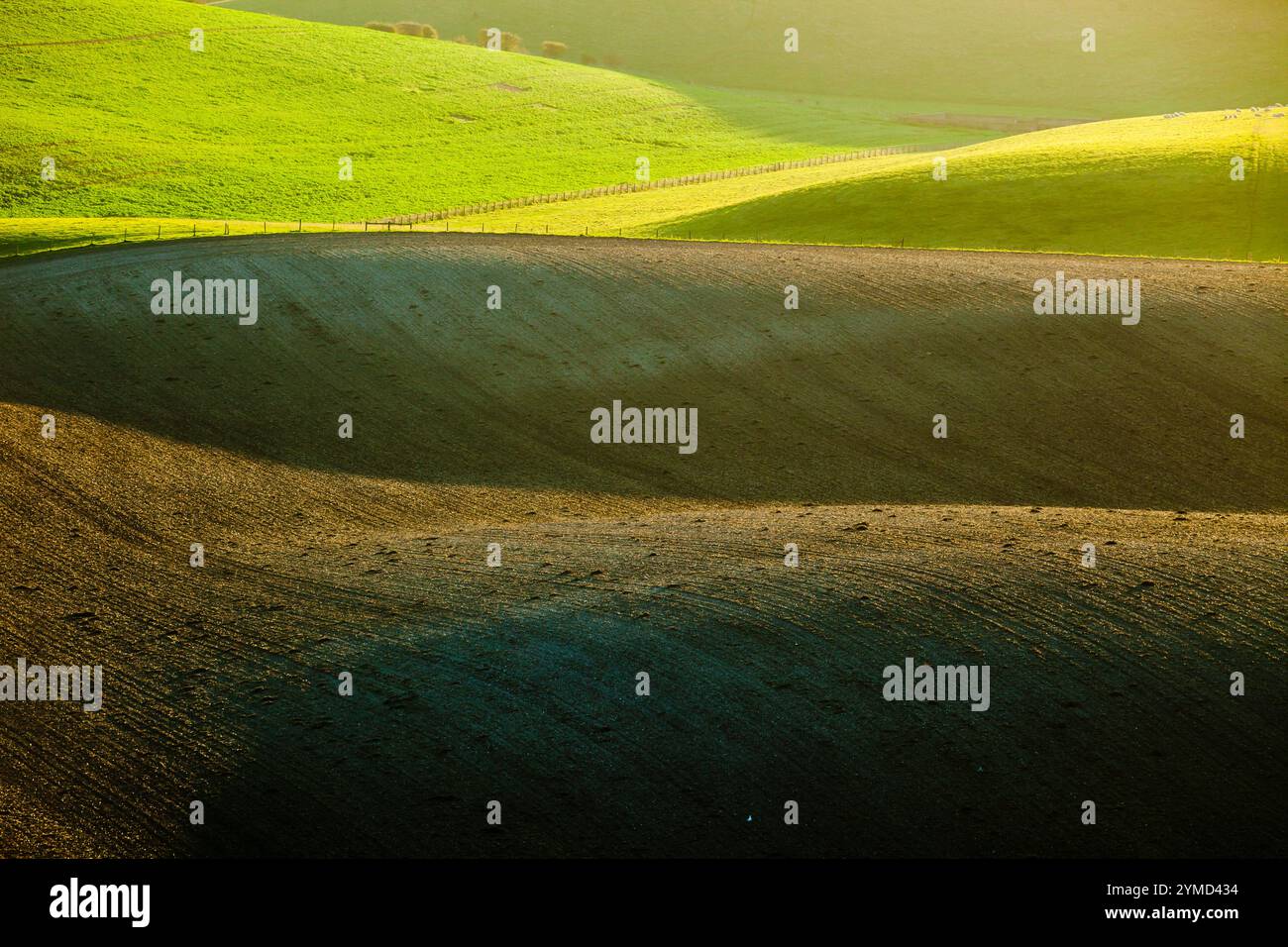 Herbstmorgen auf den South Downs in der Nähe von Shoreham, West Sussex, England. Stockfoto