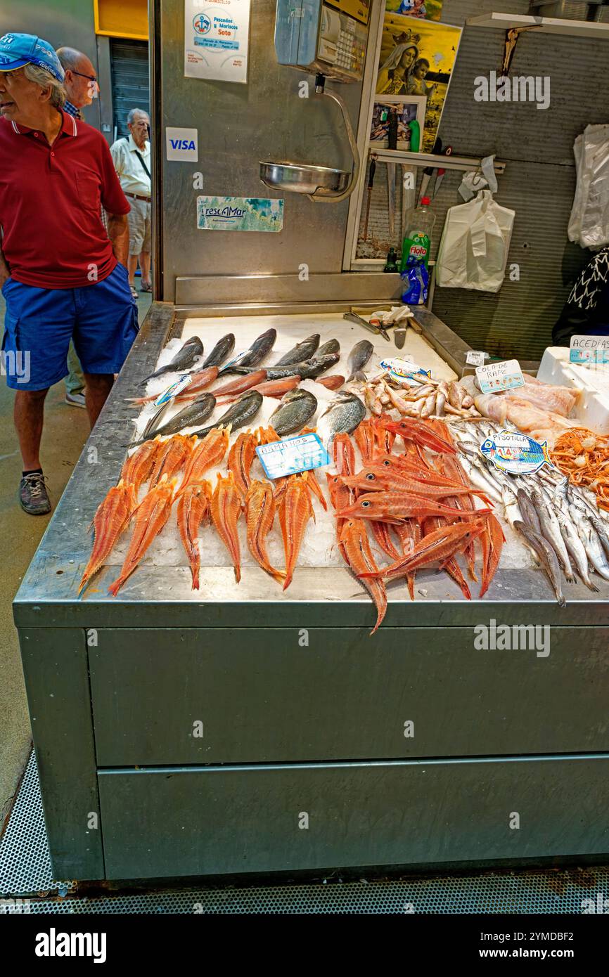 Markthalle, Mercado Central de Atarazanas, Marktstände, Frischfisch Stockfoto