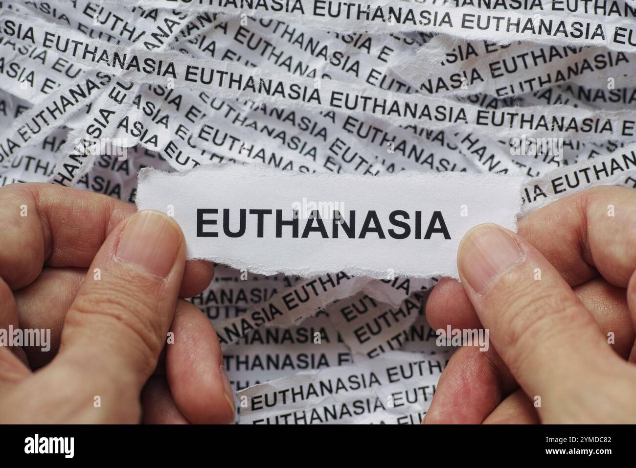 Ein Mann, der ein Blatt Papier mit dem Wort Euthanasie in den Händen hält, über zerknitterte Zeitungsstreifen. Nahaufnahme. Stockfoto