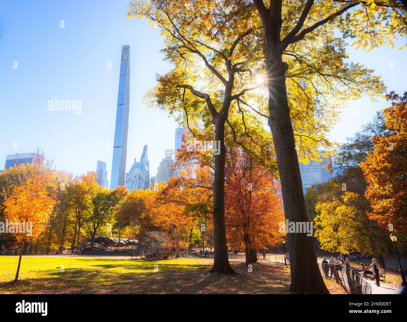 Ein Herbsttag im Central Park Stockfoto