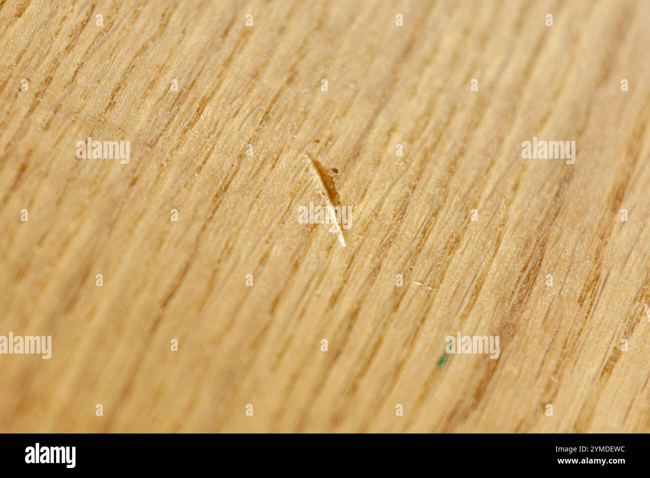 Kleiner Kratzer, der die Details der Holzstruktur auf dem Parkettboden sichtbar macht und potenzielle Schäden und Reparaturbedürfnisse hervorhebt Stockfoto