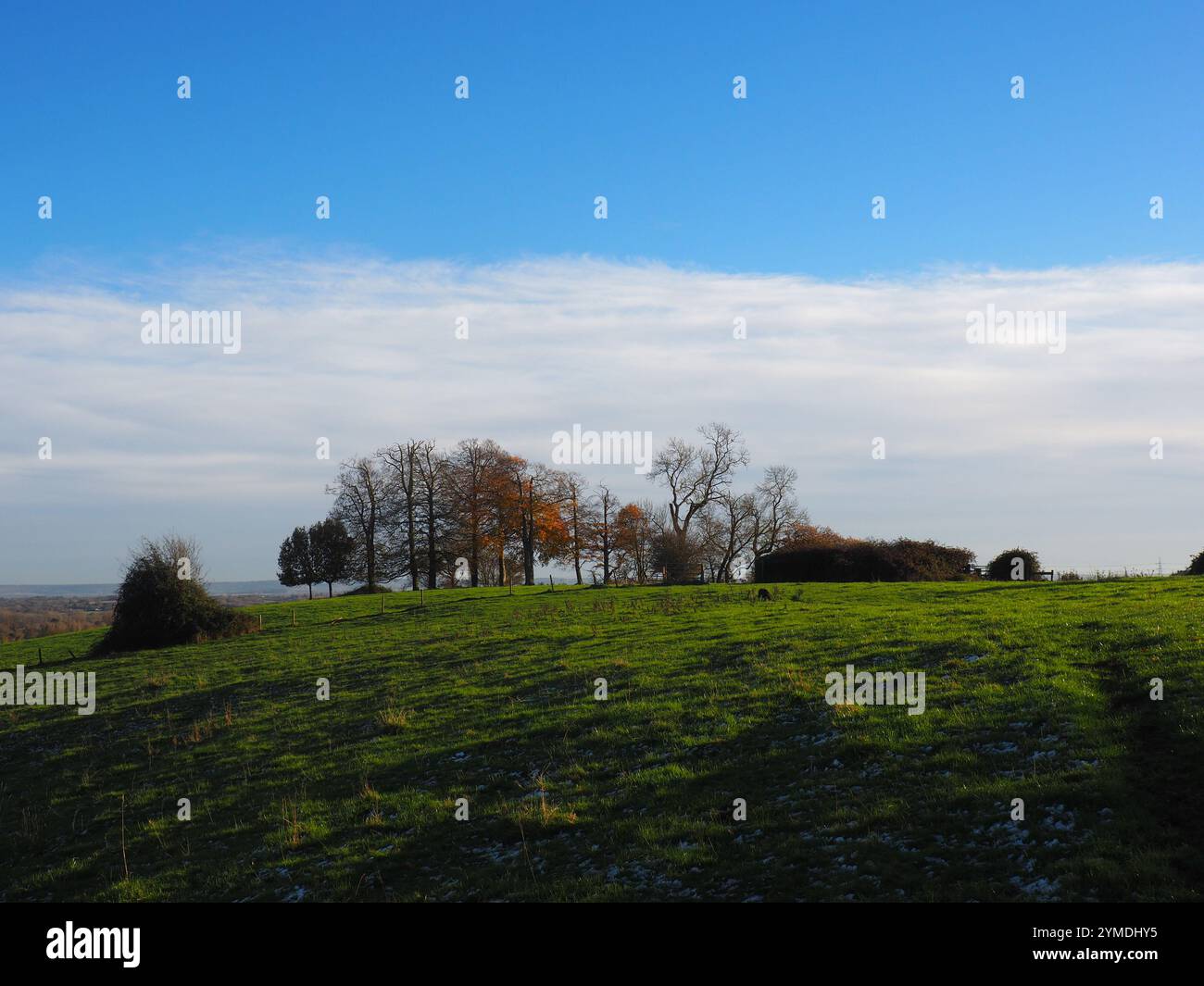 Oxford, Großbritannien. November 2024. Wetter in Großbritannien. Sonnenschein und blauer Himmel an einem bitterkalten Tag in Forest Hill, Oxford. Quelle: Angela SwannAlamy Stockfoto