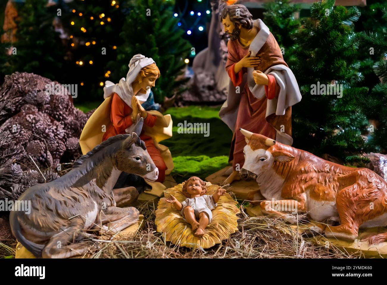 Weihnachtskrippe, die die Geburt Jesu Christi mit Maria, Josef, Esel und Ochsenfiguren darstellt Stockfoto