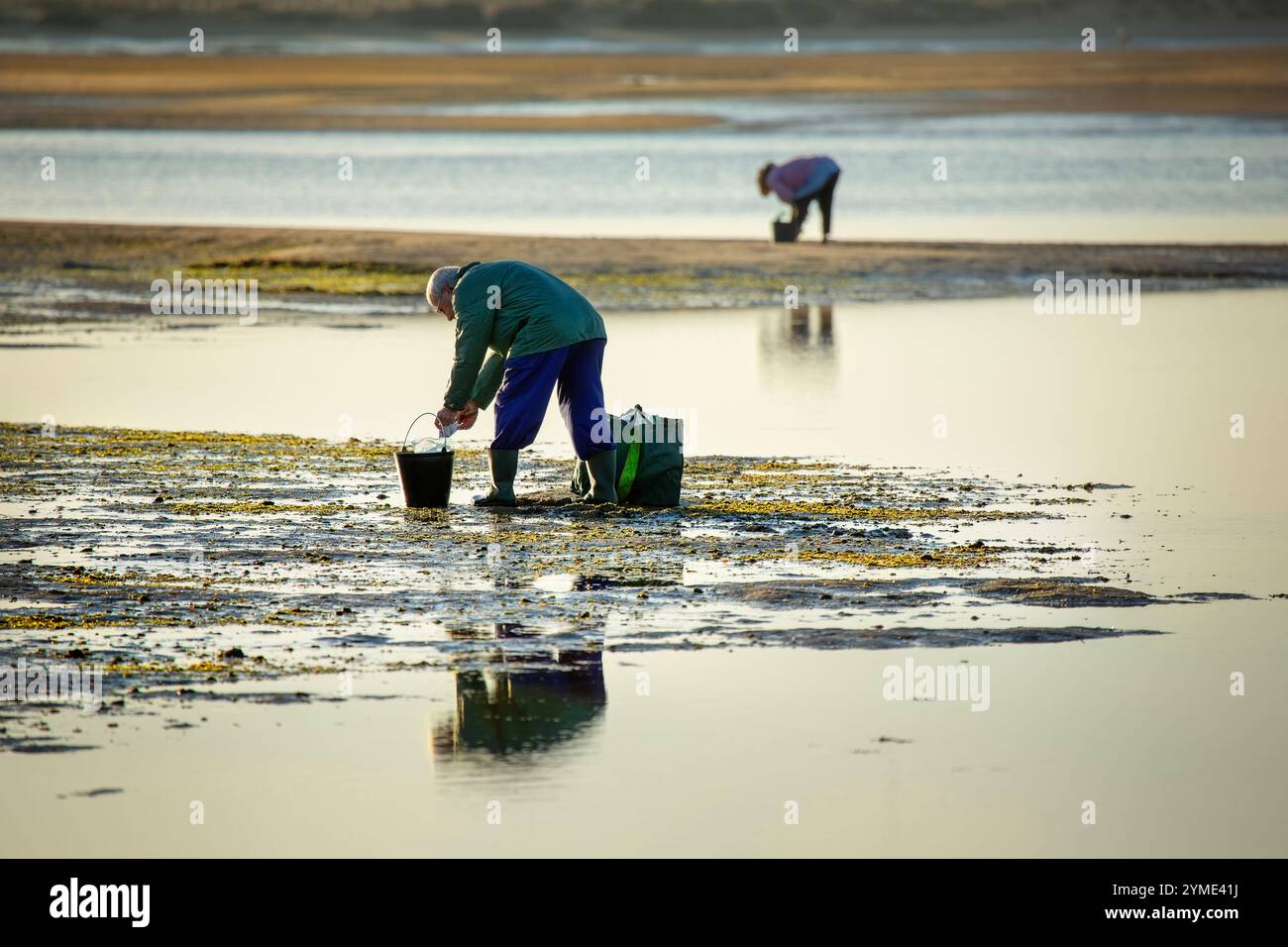 Cockle Picking ria de Alvor Algarve Portugal Europa Stockfoto