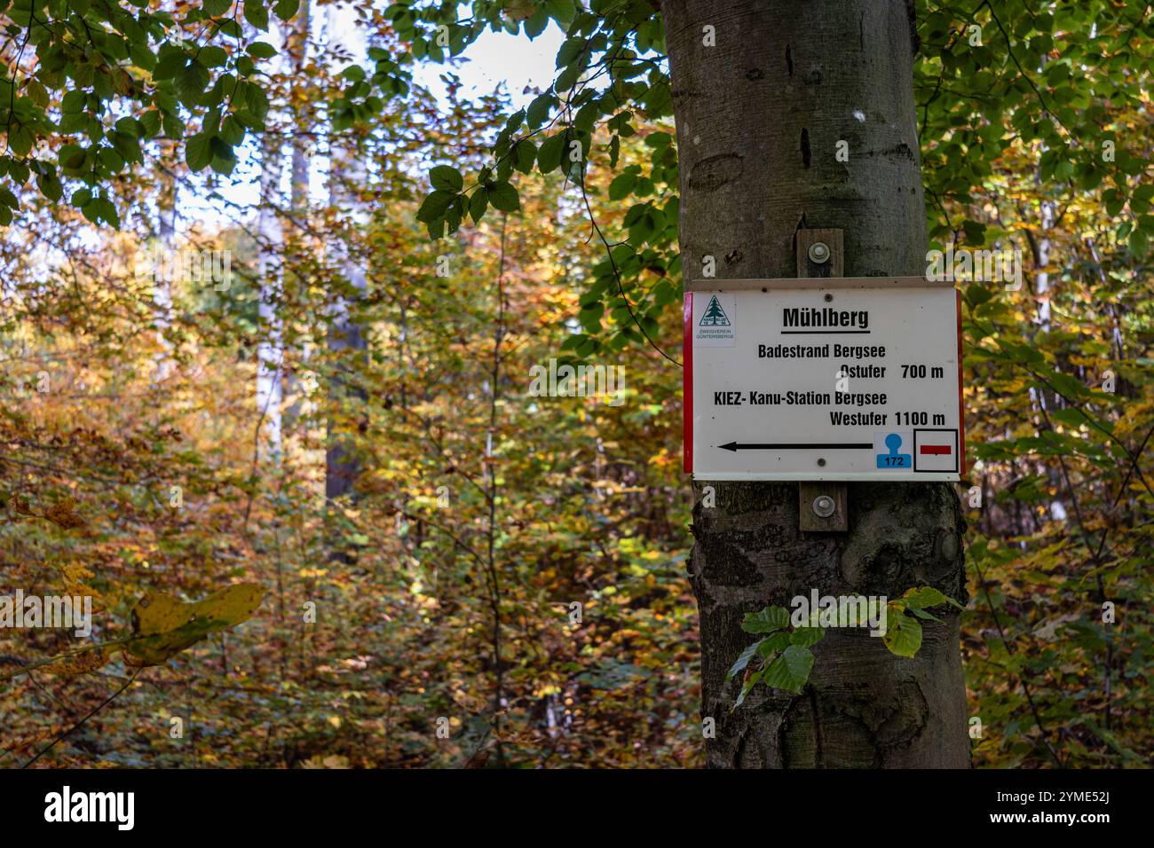 Naturlehrpfad Güntersberge im Selketal Harz Stockfoto
