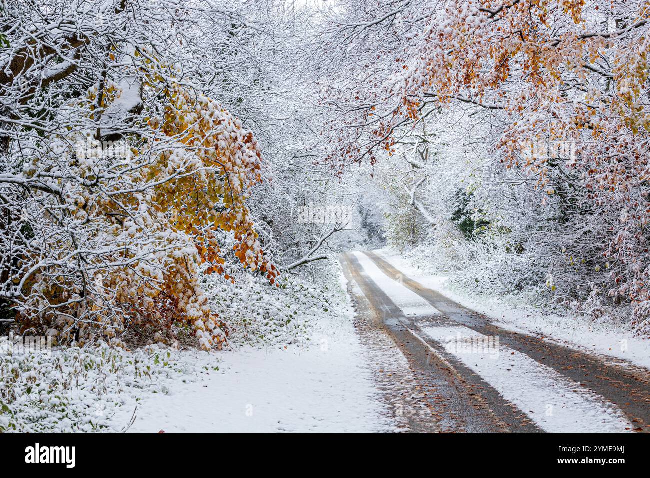 Im Frühwinterschnee im November auf einer Straße in der Nähe des Dorfes Cotswold Taddington, Gloucestershire, England, Großbritannien Stockfoto