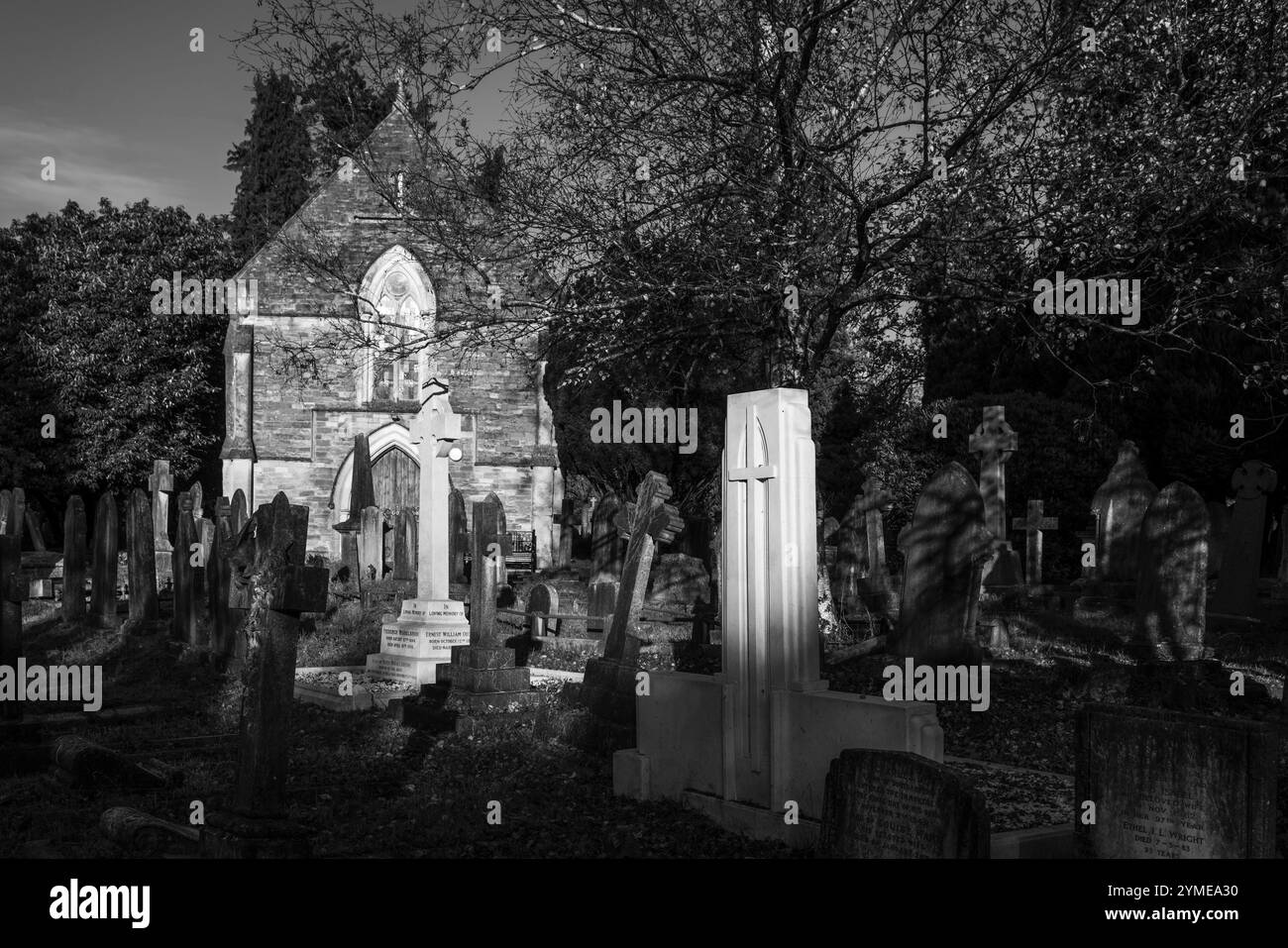 Licht erzeugt einen starken Graustufenkontrast von Licht und Schatten auf dem Old Cemetery auf dem Common, Southampton, Hampshire, England Stockfoto